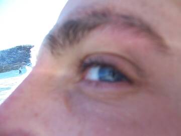 Public Photo of bear-84